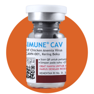 Vaksimune CAV