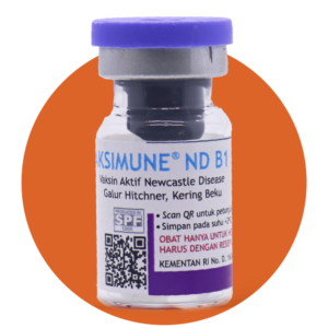 Vaksimune NDB1